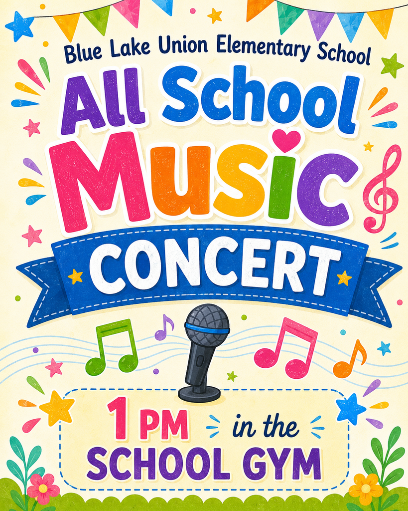 music concert