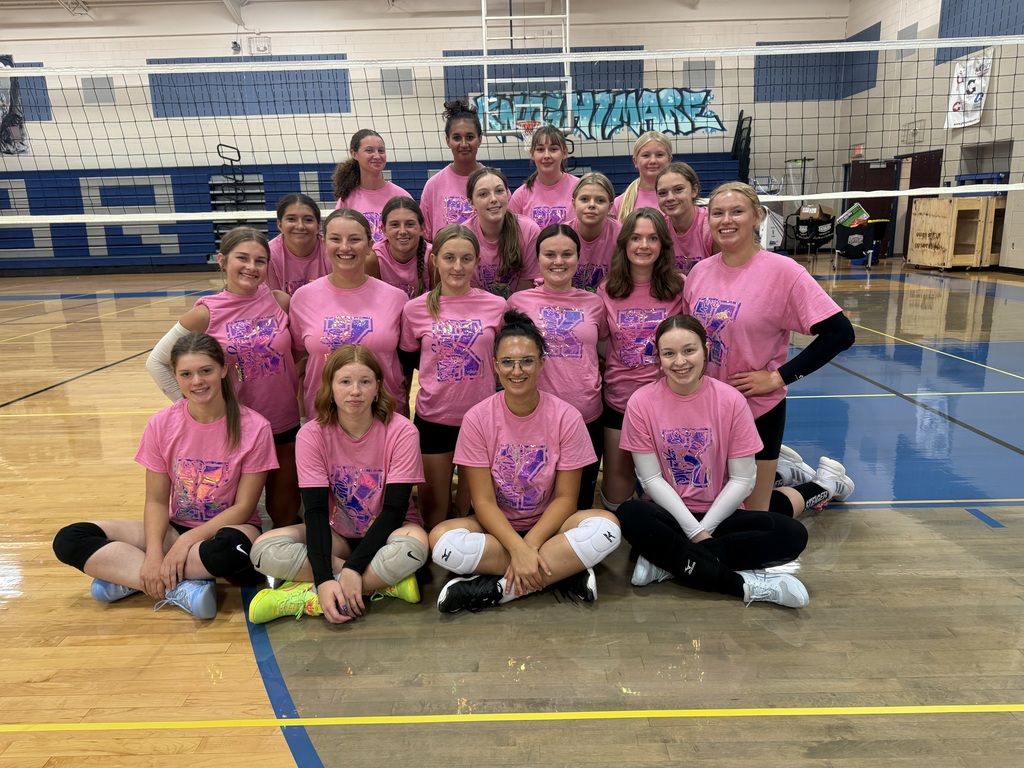 BRHS Volleyball Team in their Pink T-Shirts