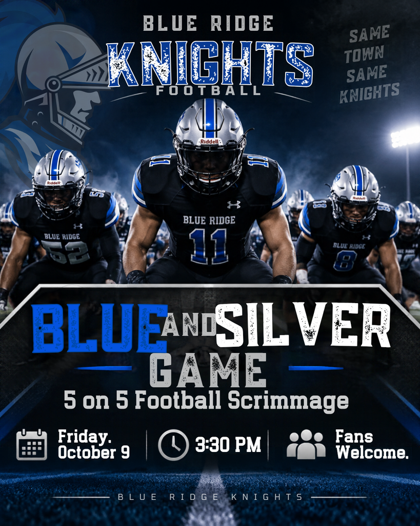 Blue and Silver game
