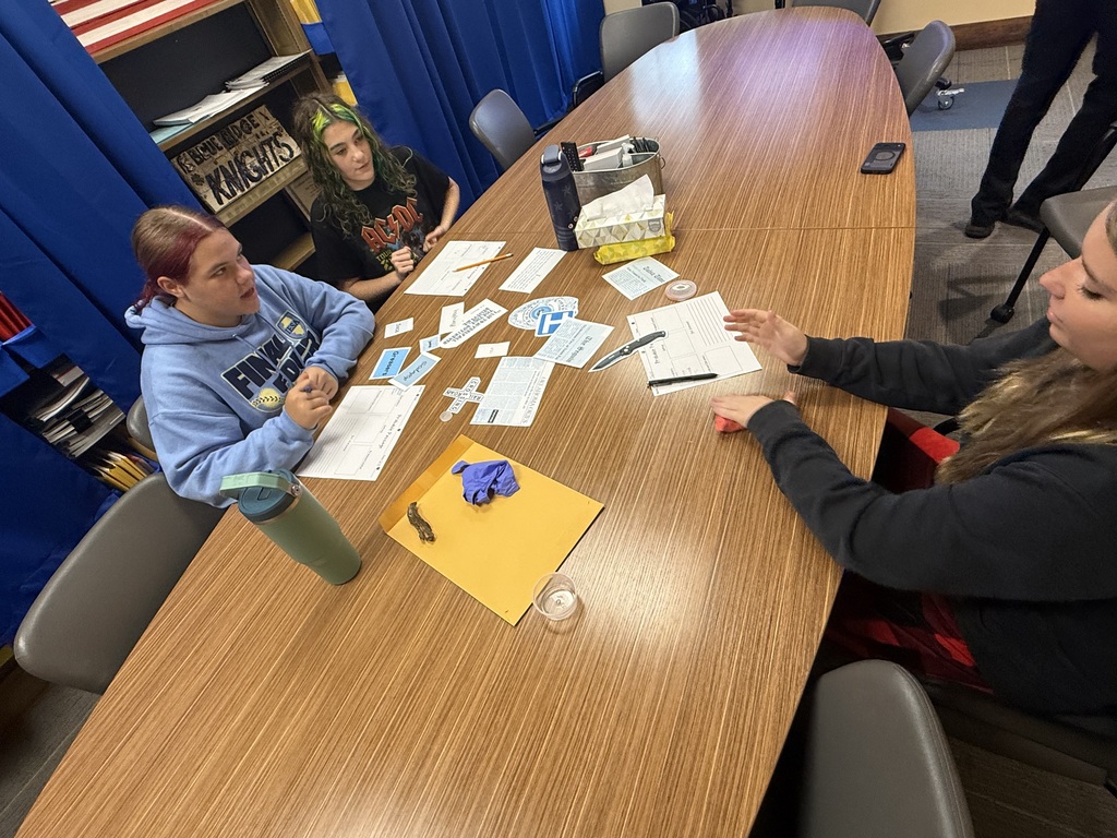 8th grade doing plot study for The Outsiders