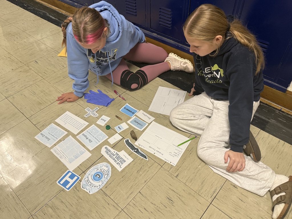 8th grade working to study The Outsiders