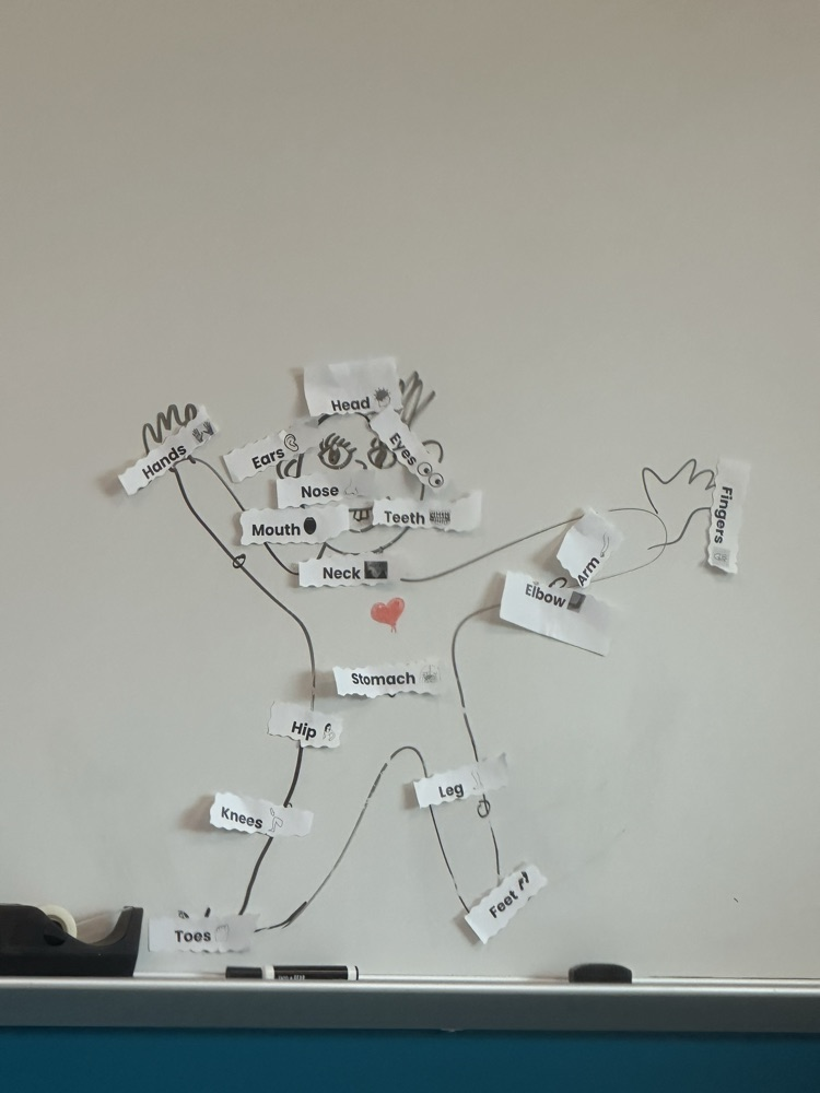 pre-k learning about the body