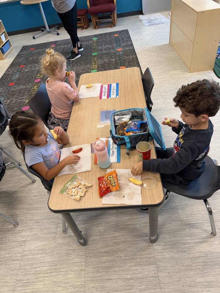 Prek learning about apples