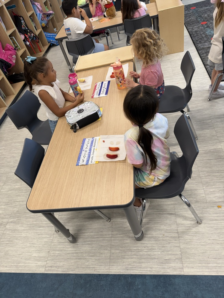 Prek learning about apples