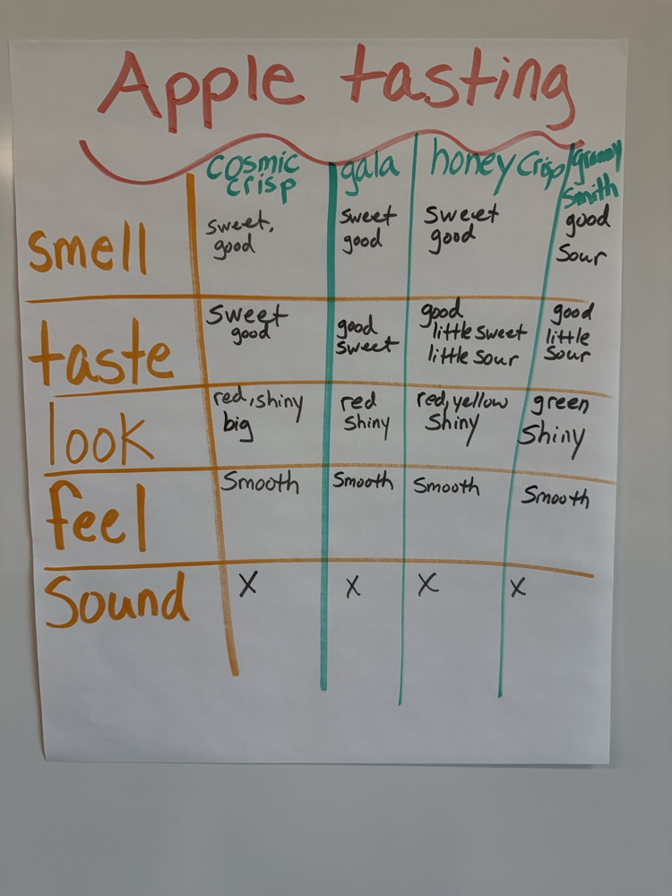 Prek learning about apples 