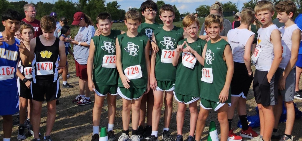BRMS