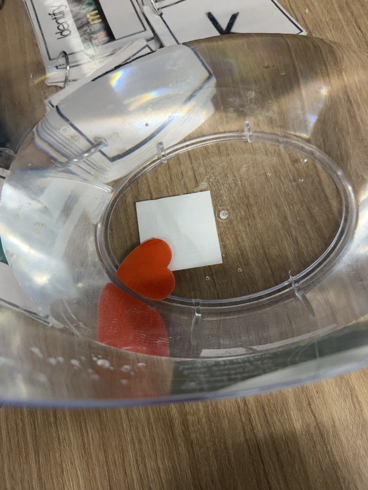 Pre-K Grinch Day fun!