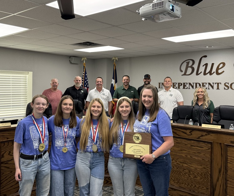 lit crit
