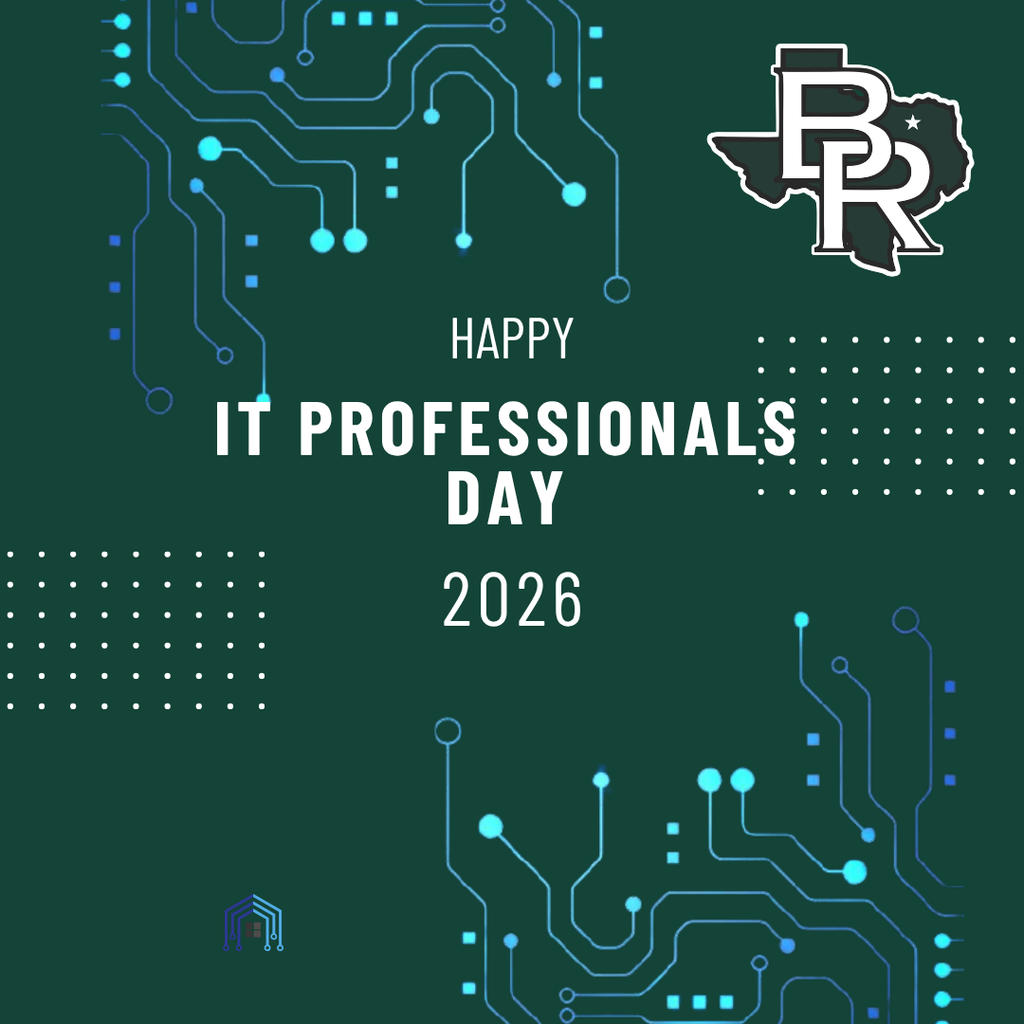 it professionals