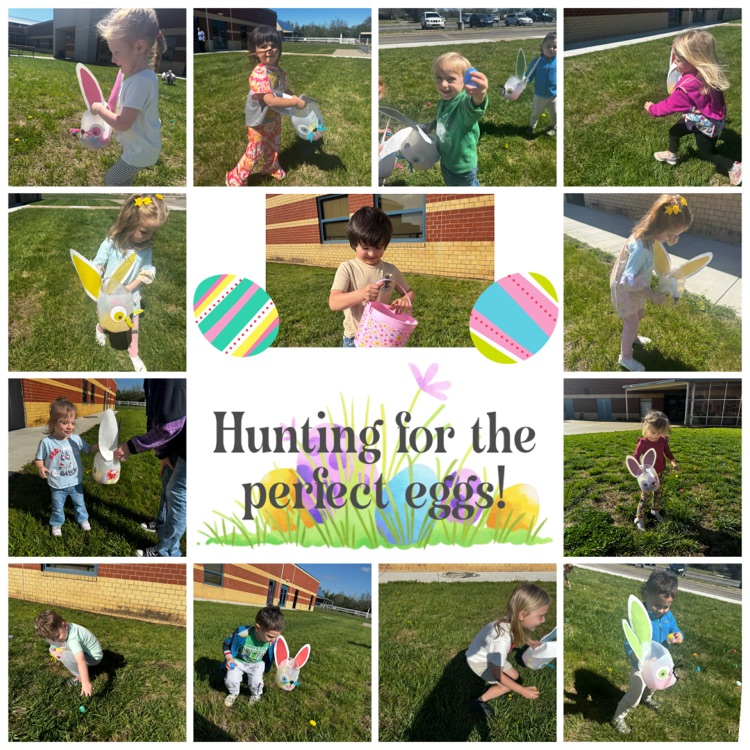 Finding the perfect eggs! 