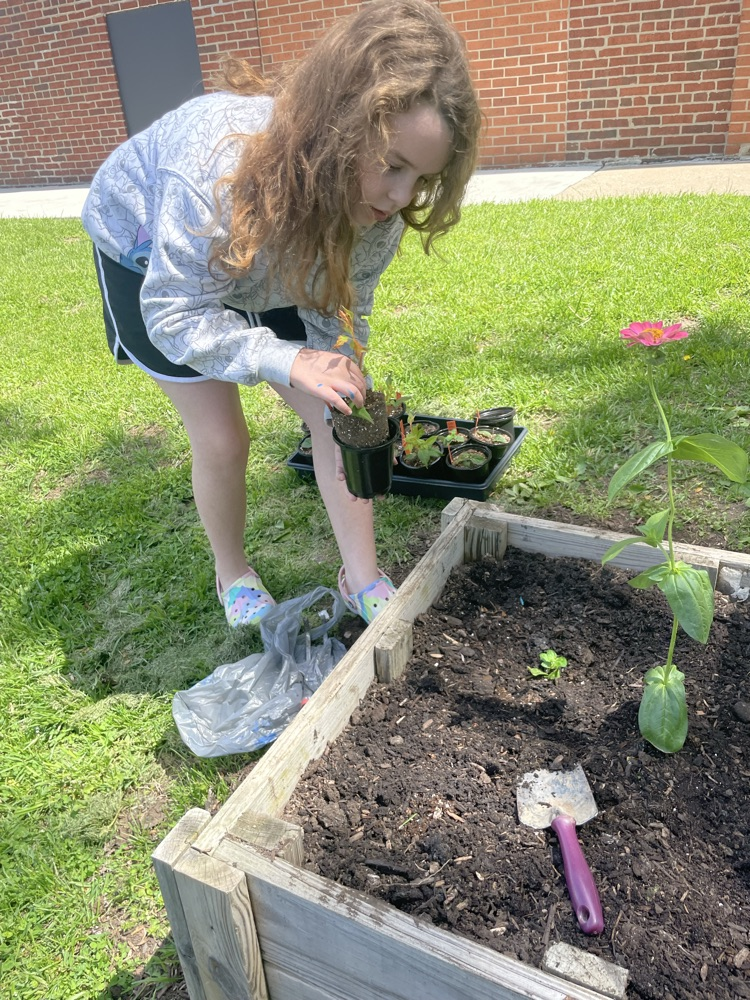 earth day