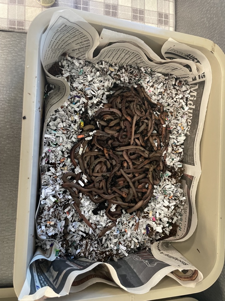 worms