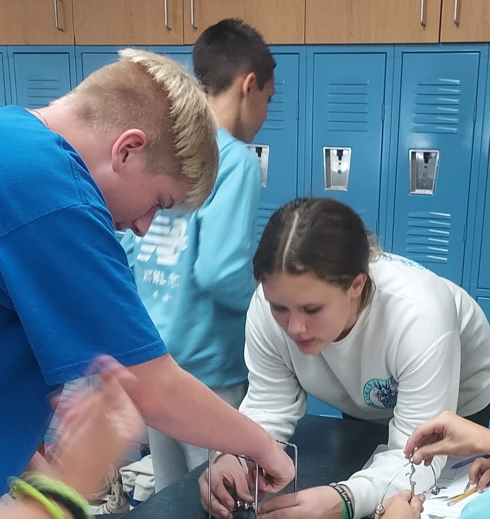 Experimenting with Newton's cradle and Newton's bal forces