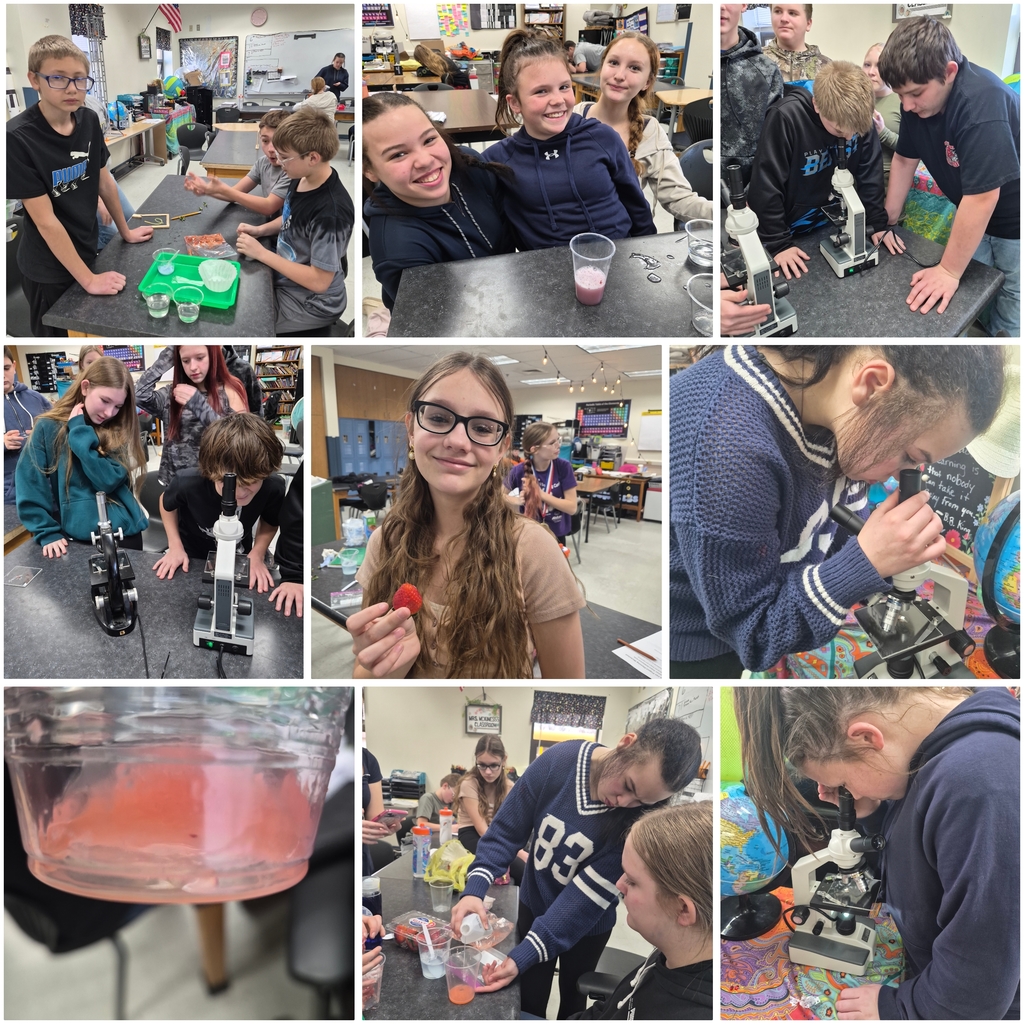 Extracting strawberry DNA