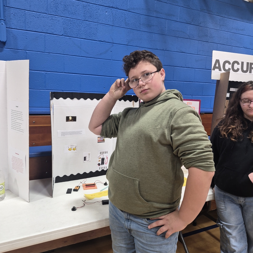 organic lemon and potatoe batteries