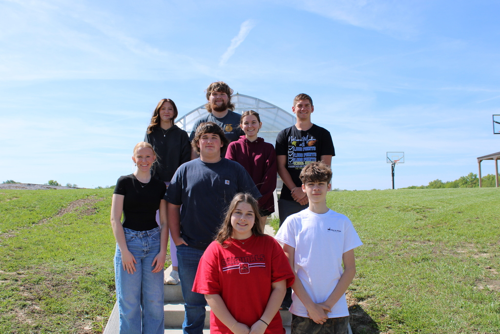 senior court
