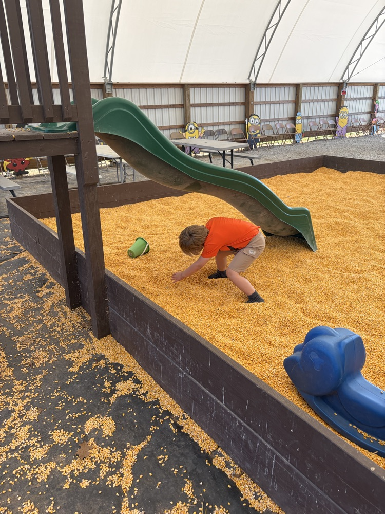 Corn fun! 🌽