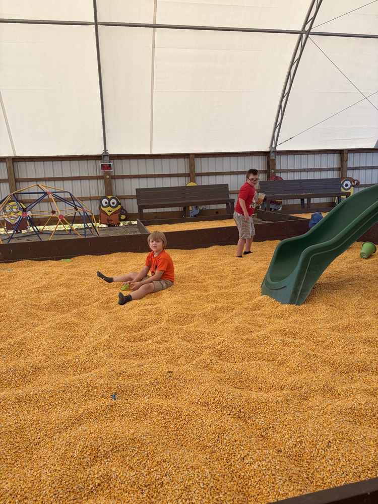 Corn fun! 🌽