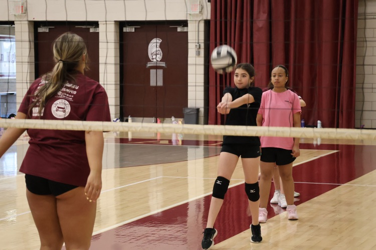 Volleyball Camp