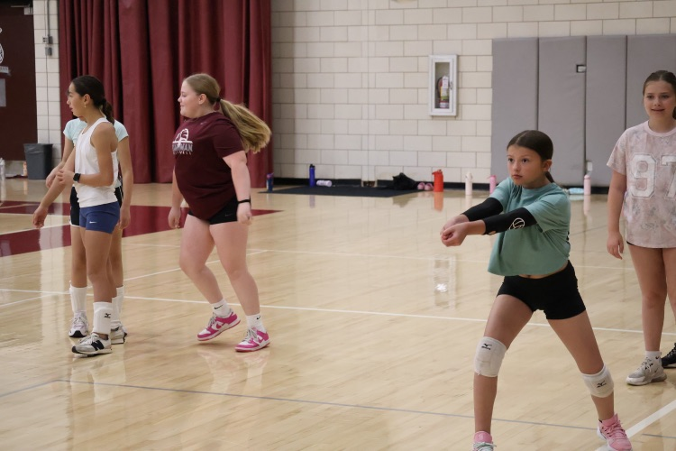 Volleyball Camp