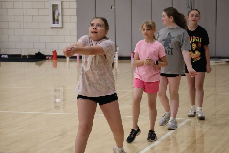 Volleyball Camp