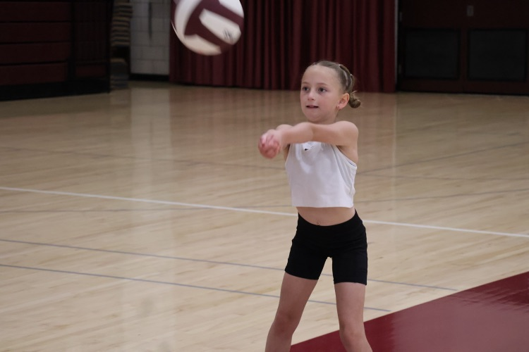 Volleyball Camp