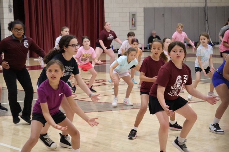 Volleyball Camp
