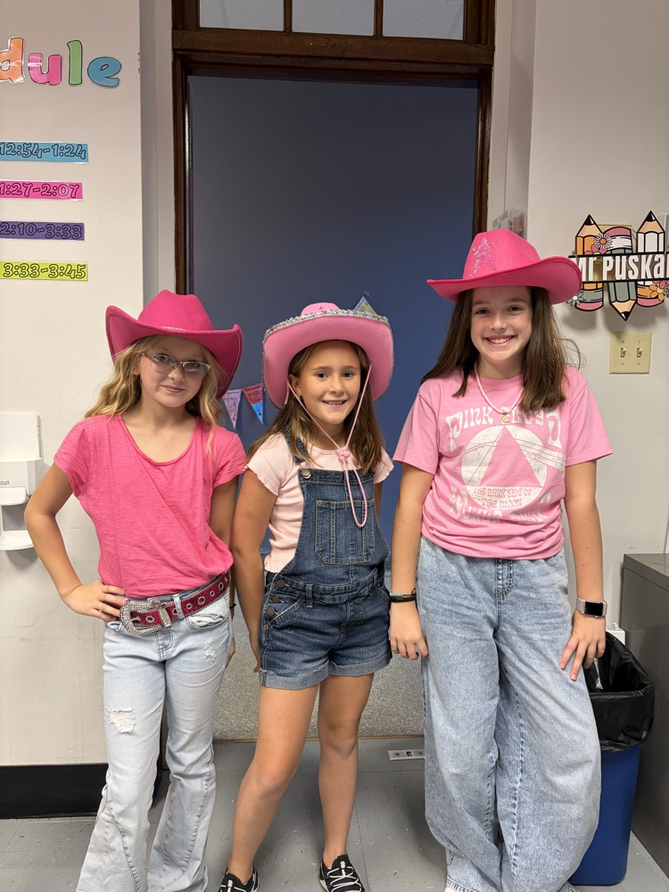 students dressed in pink cowboy hats and boots