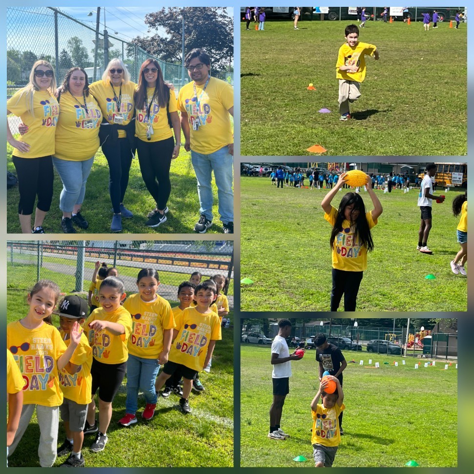 field day
