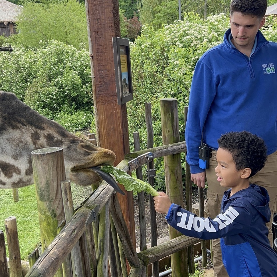 zoo