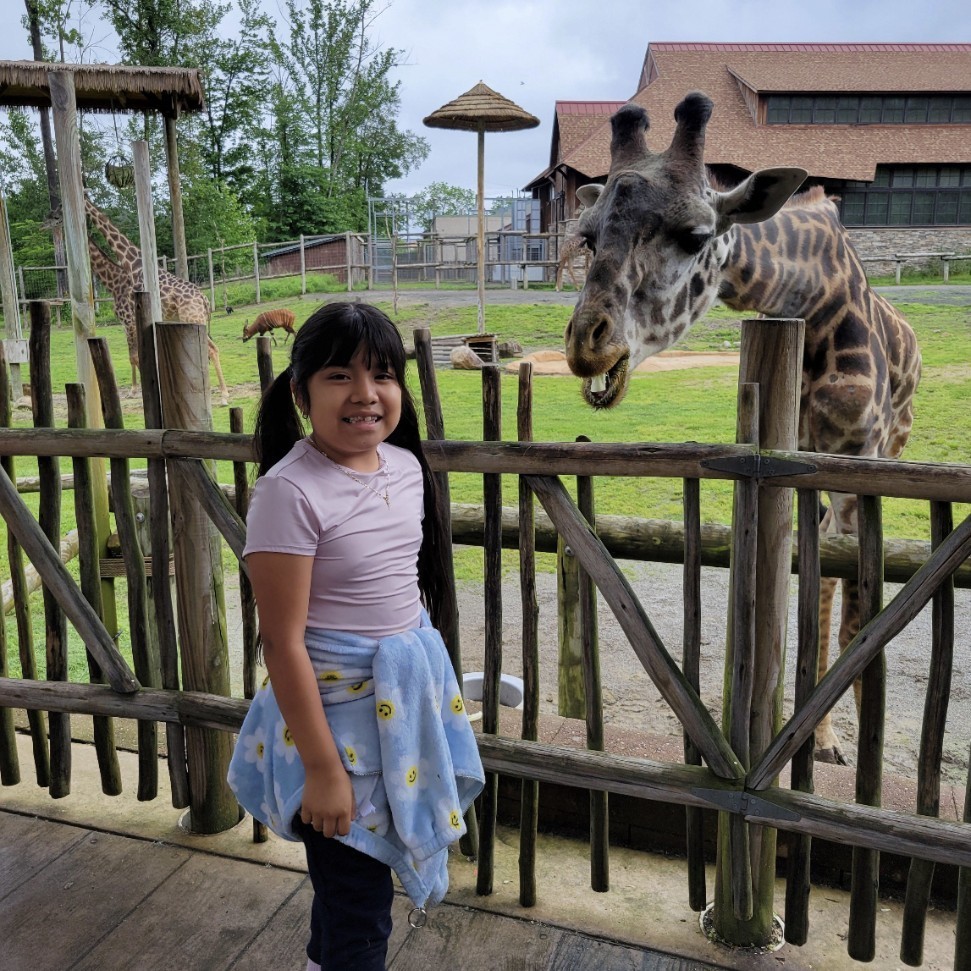 zoo