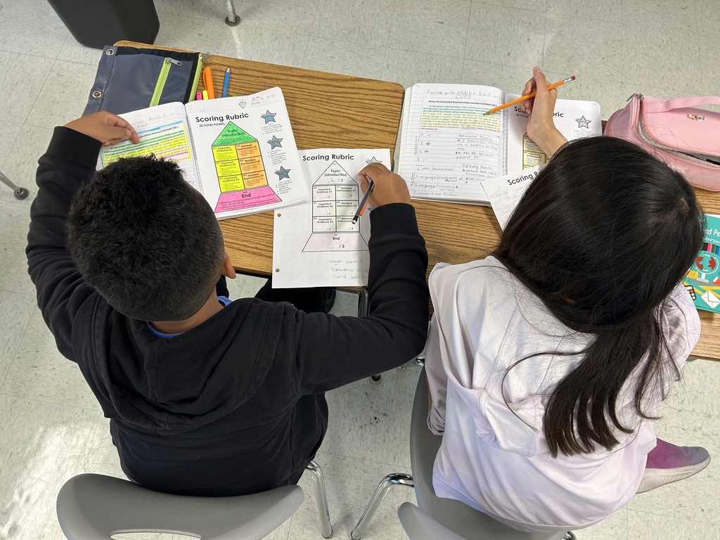 Over the past two weeks in 7th grade ELA, students have learned all about POWER cycles. This is the acronym we use for the writing process: Plan, Organize, Write, Edit, Revise. Pictured below are student partnerships examining student writing samples. They had to score the written piece using a rubric and provide revision and editing goals based on specific criteria.