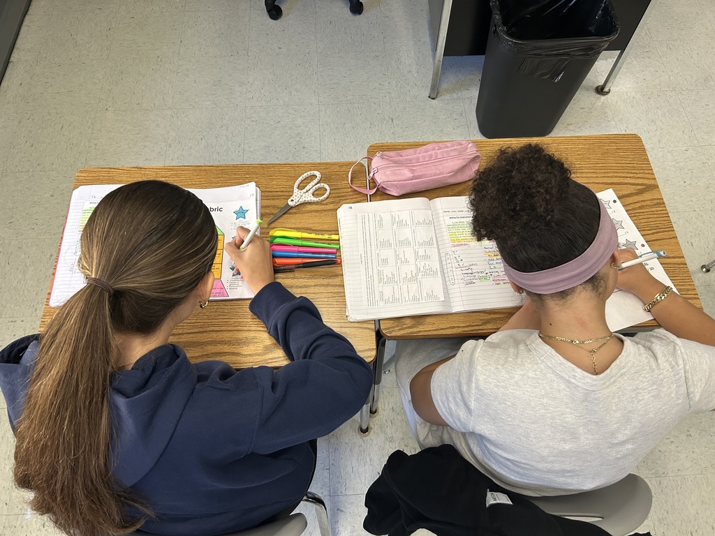 Over the past two weeks in 7th grade ELA, students have learned all about POWER cycles. This is the acronym we use for the writing process: Plan, Organize, Write, Edit, Revise. Pictured below are student partnerships examining student writing samples. They had to score the written piece using a rubric and provide revision and editing goals based on specific criteria.
