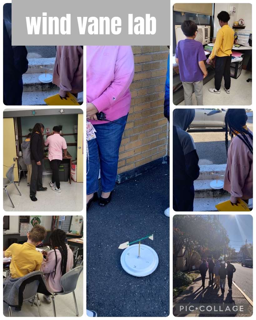 Mrs. Mantione's Science Lab on Wind Vanes! 