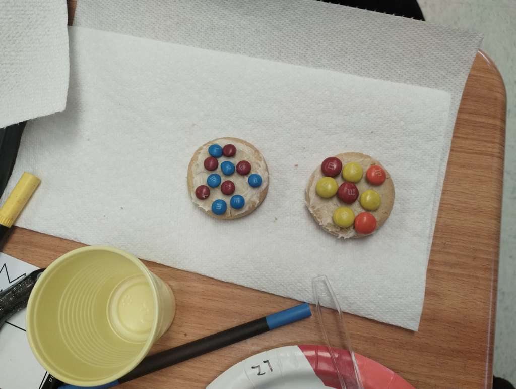 6th and 7th grade students learning about the parts of an atom!