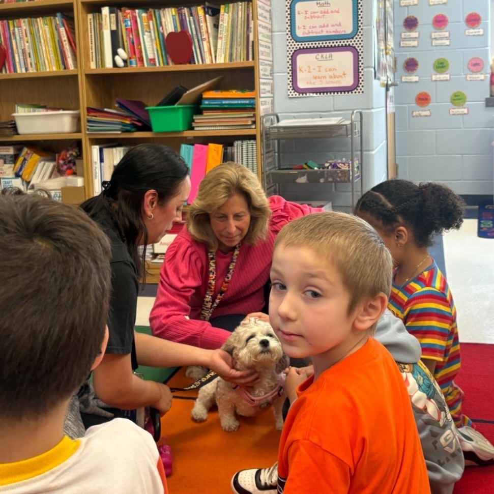 therapy dog