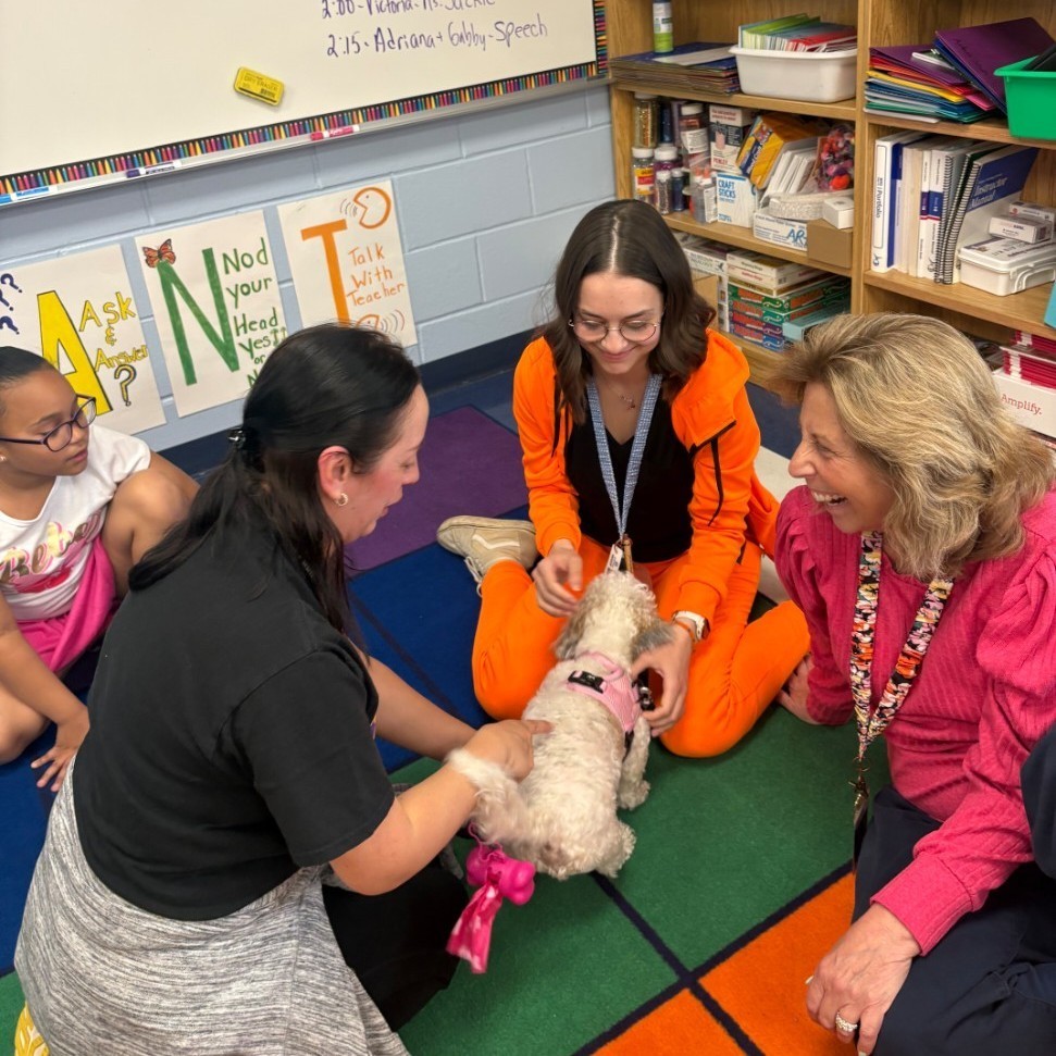 therapy dog
