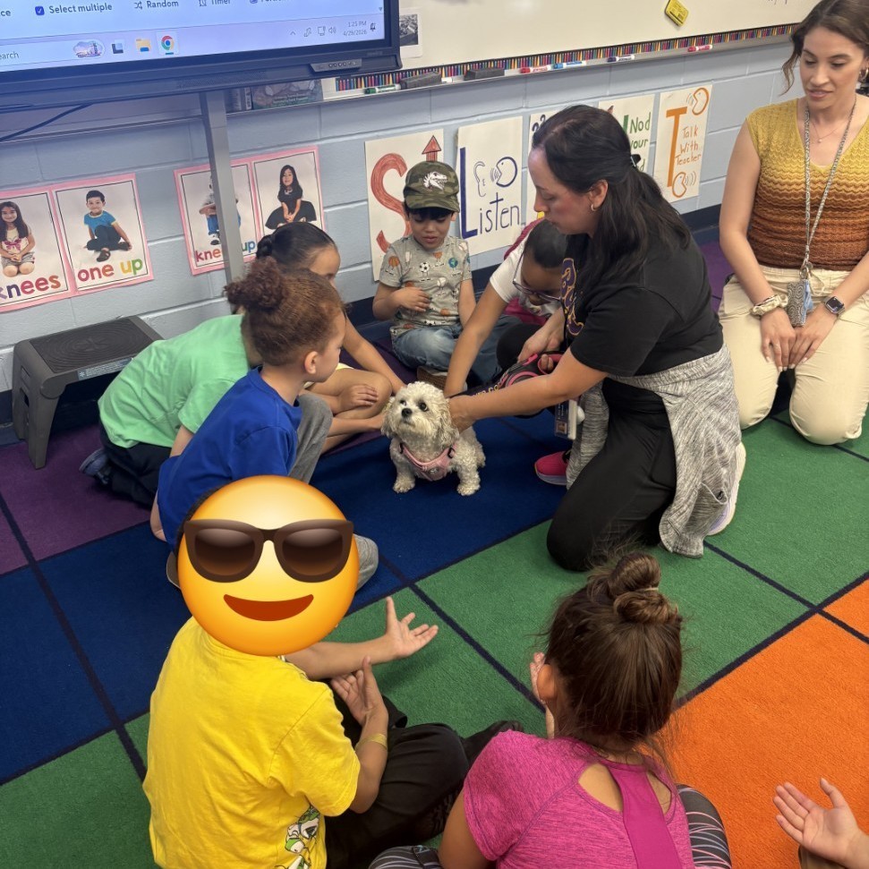 therapy dog