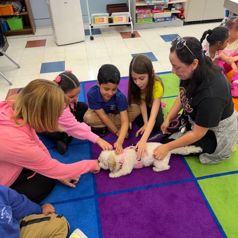 therapy dog