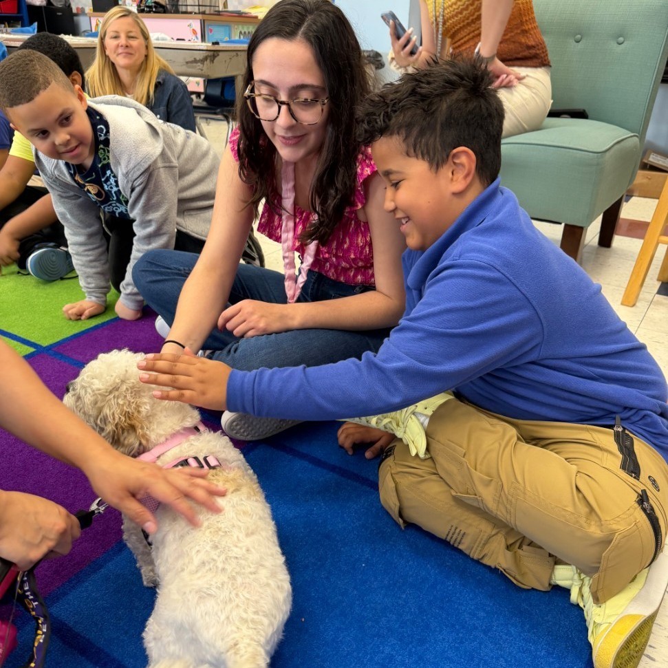 therapy dog