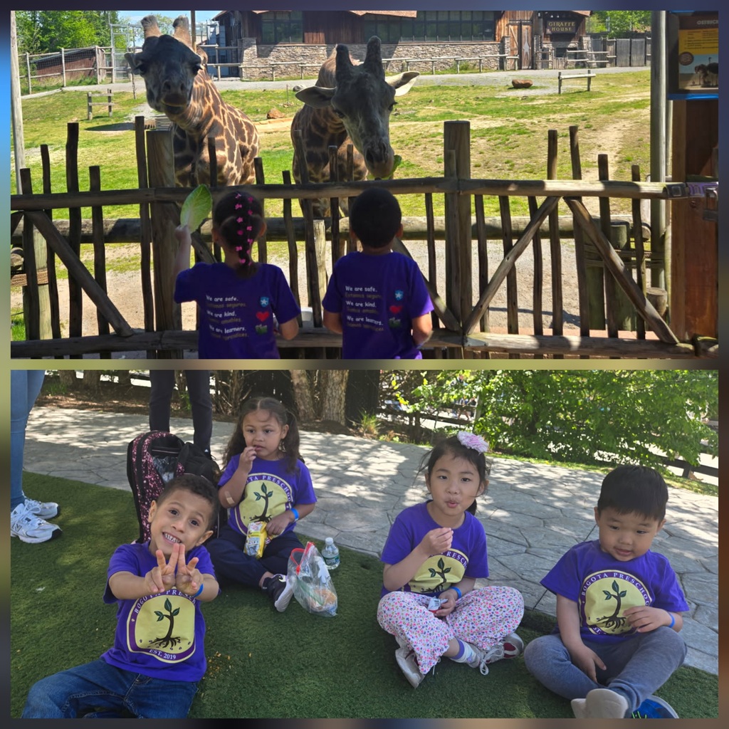 zoo
