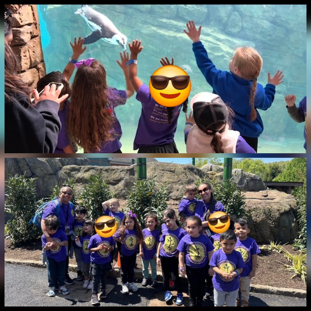 zoo