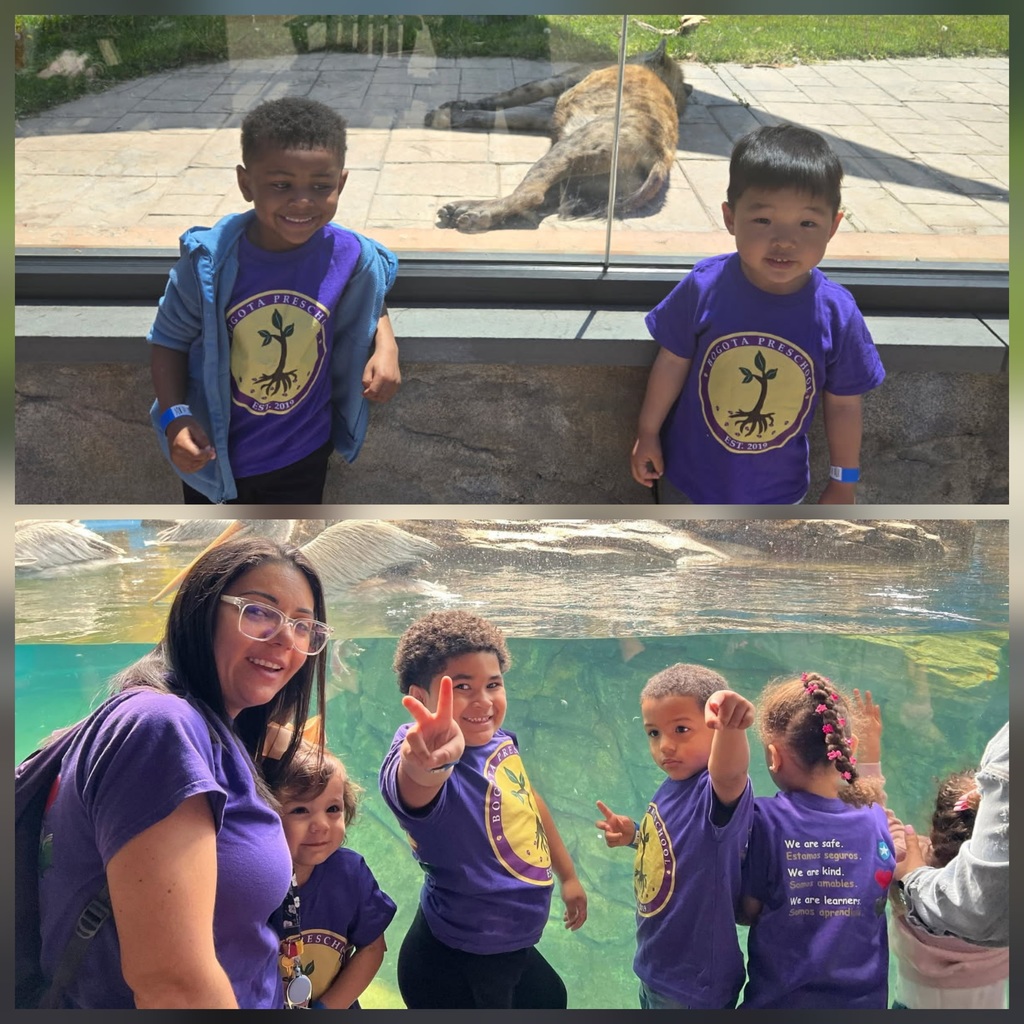 zoo