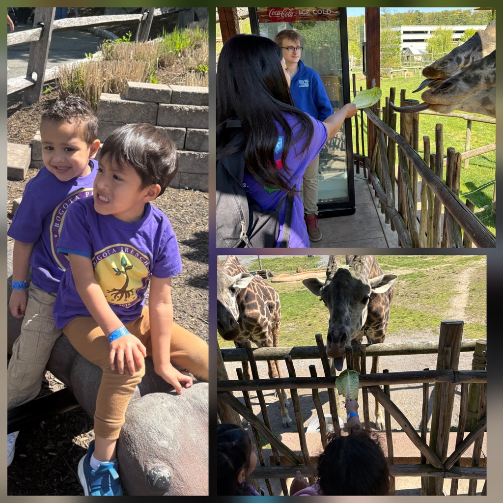 zoo
