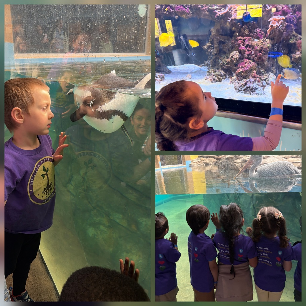 zoo