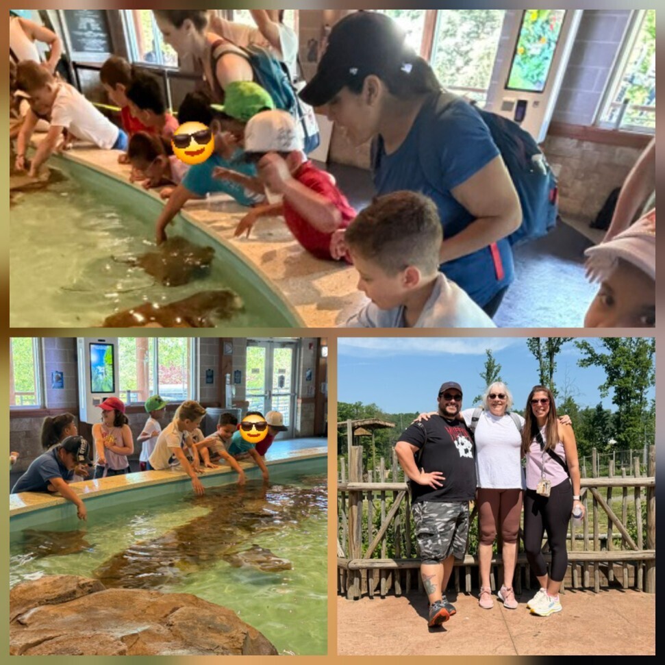 zoo