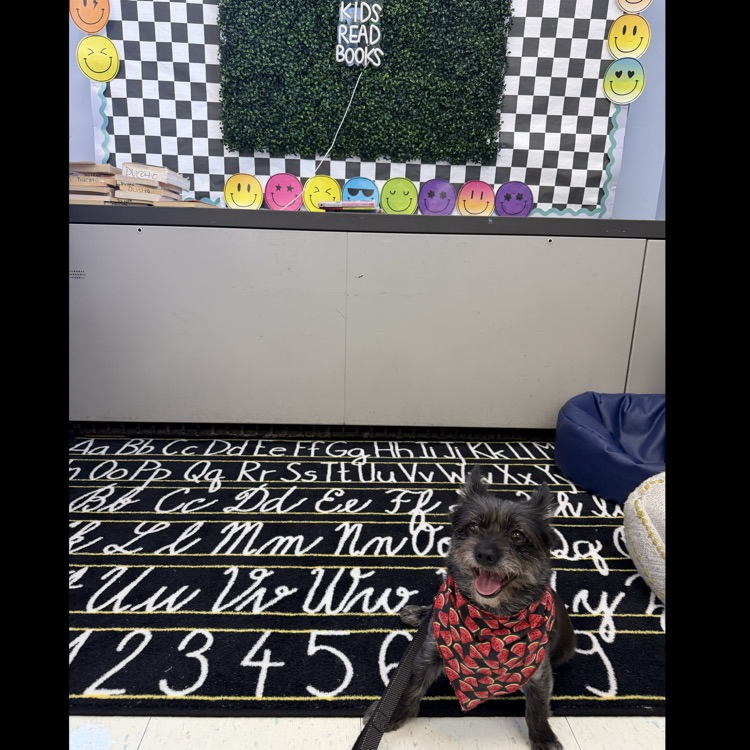 🐾📚 Meet Joni!