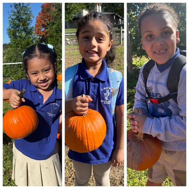 More kindergarten fun at Demarest Farms!