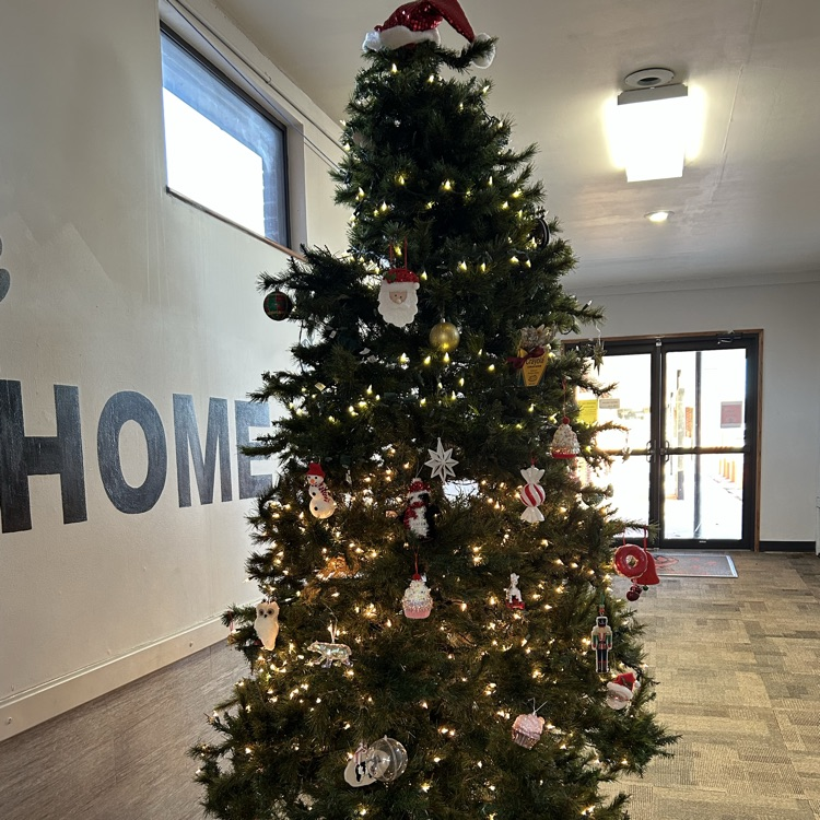 our Christmas tree is looking pretty !