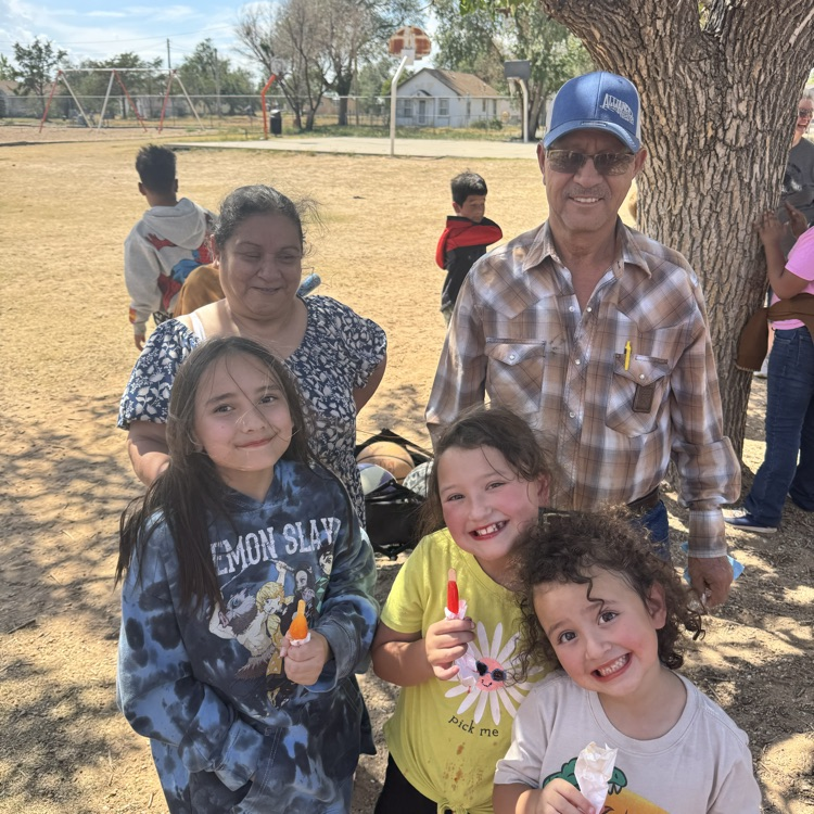 popsicle